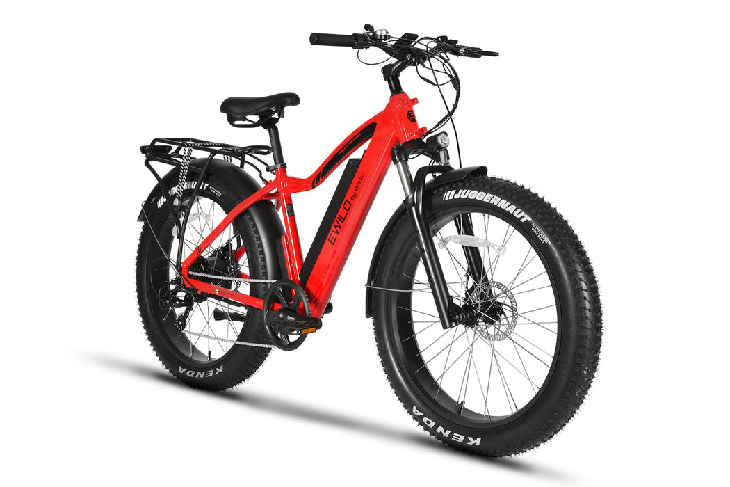 EMMO- E-Wild C2 | Fat Tire E-Bike | Top Speed 20 mph